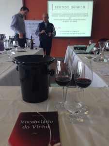Técnicas de degustação e de vinificação foram abordadas durante o curso