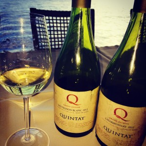 Chardonnay e Sauvignon Q Grand Reserva da Quintay - vinhos muito bons com preços justos