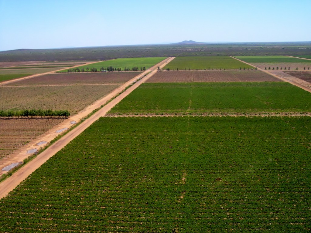 Santa Maria Vinícola da minissérie global