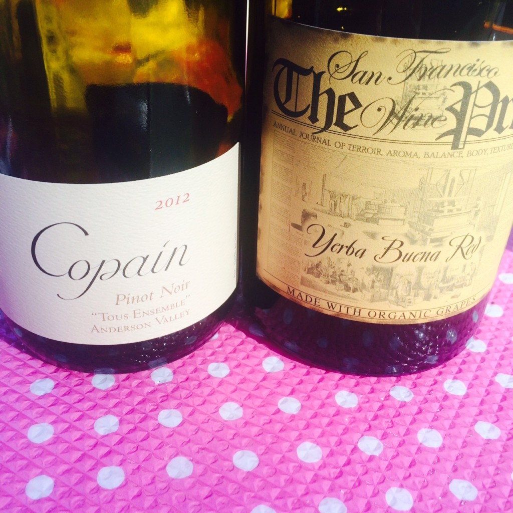 Vinhos de Mendocino: boas surpresas!