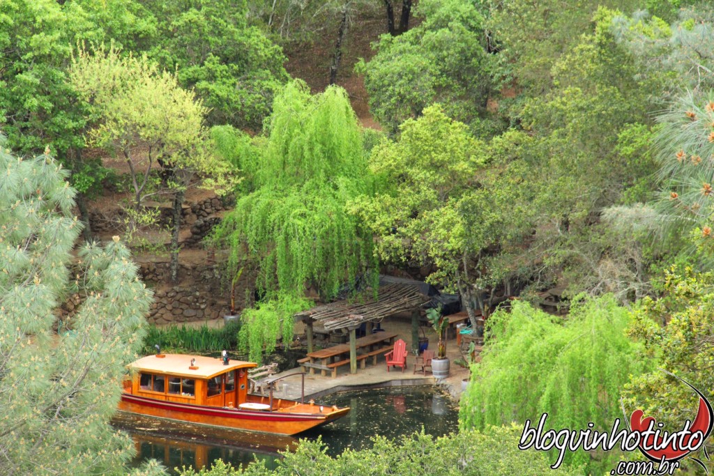 Belíssimas paisagens até chegar ao topo da montanha onde está a sede da vinícola