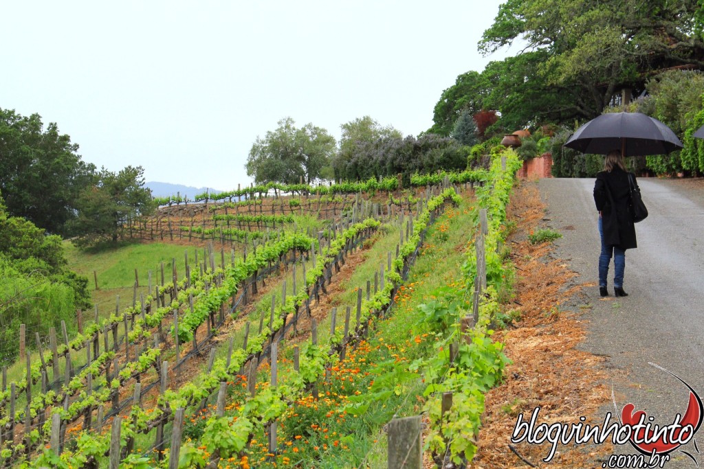 Passeio muito bacana que deve ser reservado com antecedência pelo site da vinícola