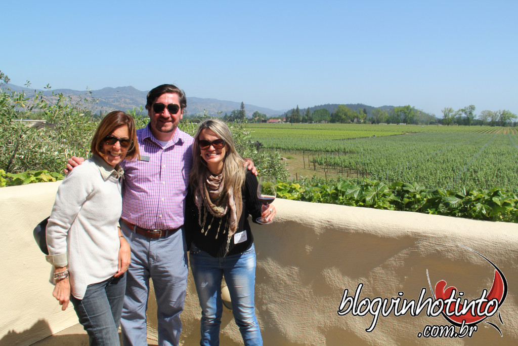 Visita finalizada com uma linda vista do terraço da vinícola.