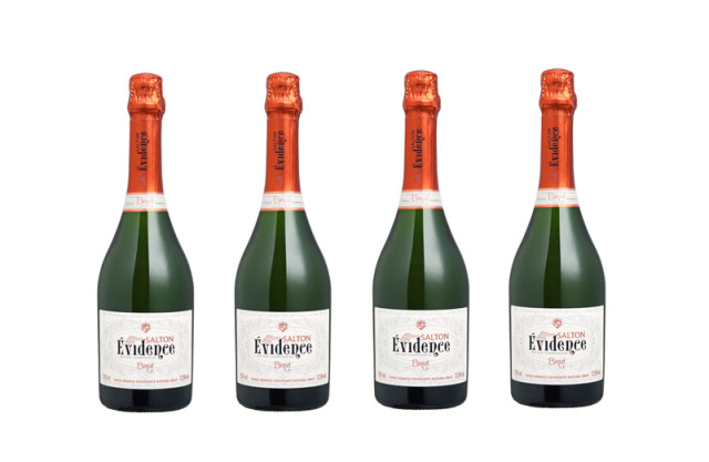 Salton-Evidence-home2