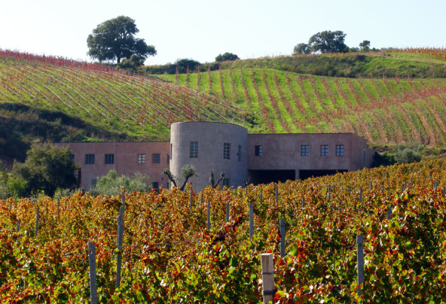  Contornada por montanhas e próxima ao mar, assim está localizada a vinícola que ser