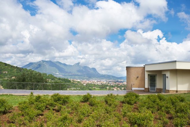 Vista da vinícola Villa Raiano