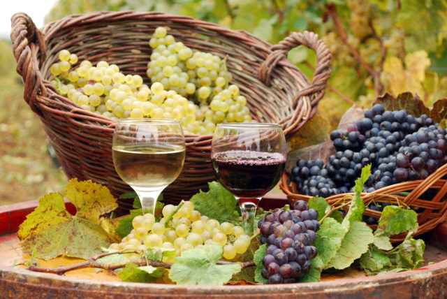 Vinho tinto e branco com uvas do outono 