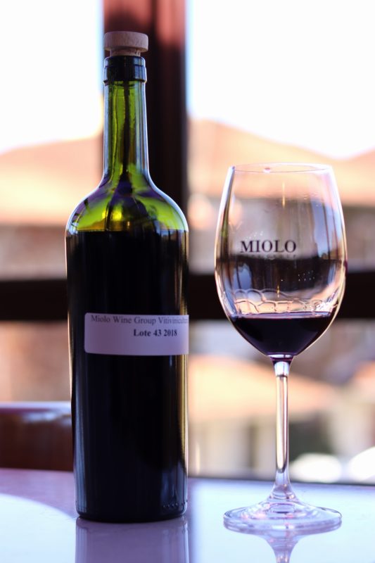 Lote 43 2018 que ainda está maturando. O vinho vai ficar mais seis meses em barrica e 2 anos em garrafa antes de ser comercializado