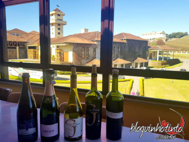 Degustação dos principais vinhos da Miolo com uma bela vista da vinícola