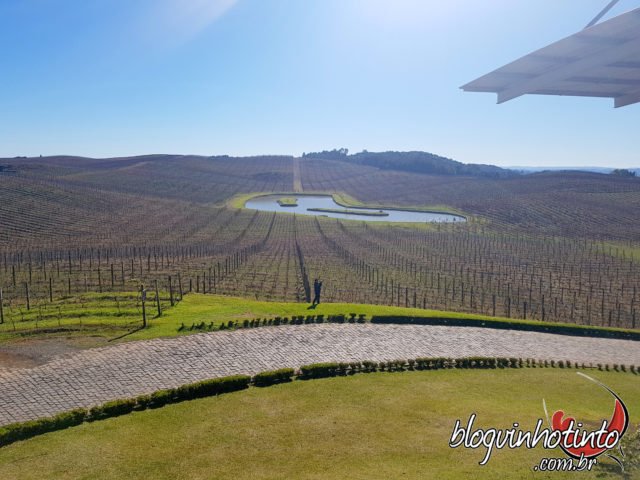 140 hectares de área total, com 55 hectares de vinhedos próprios onde são produzidos 17 variedades de uvas