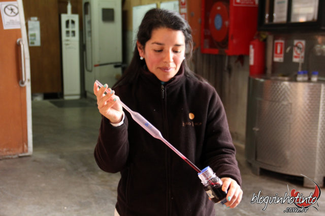 Enoturismo: conhecendo de perto a produção de vinhos da vinícola