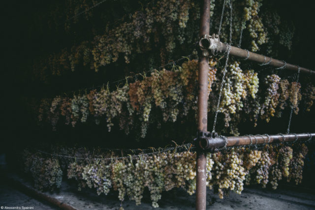  Il Fruttaio,  da fotógrafa italiana  Alessandra Spairani 