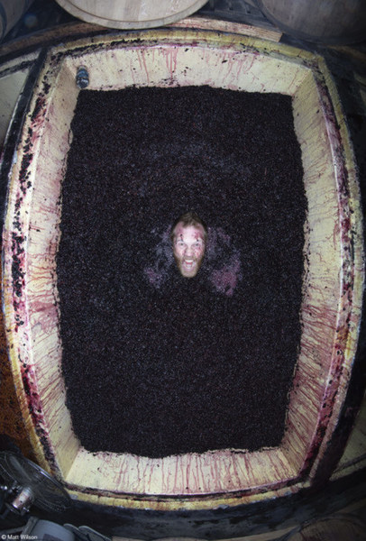  Body Plunge, do fotógrafo britânico Matt Wilson 