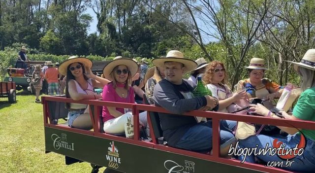 Wine Tuc da Cainelli