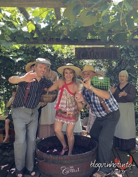 Pisa das uvas: momento de descontração e terapia!!!!