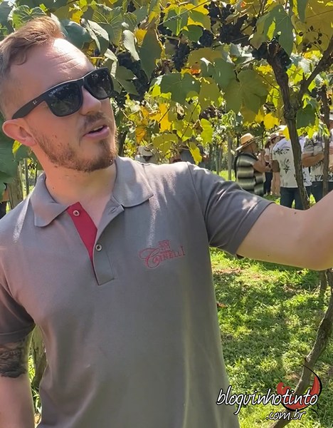 Cainelli Júnior, enólogo da vinícola