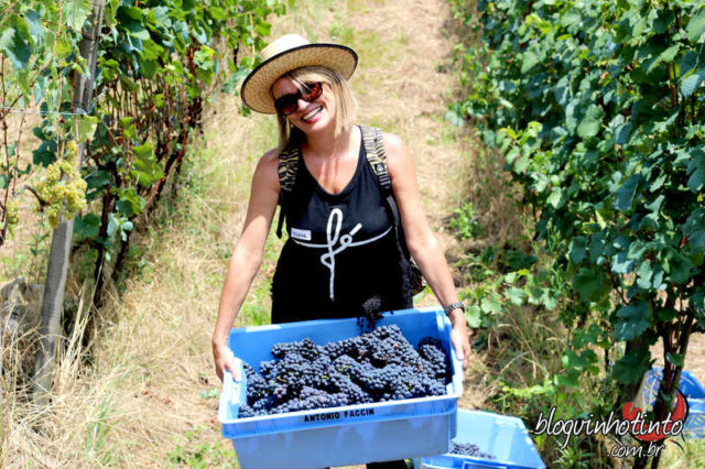 Experiência incrível!