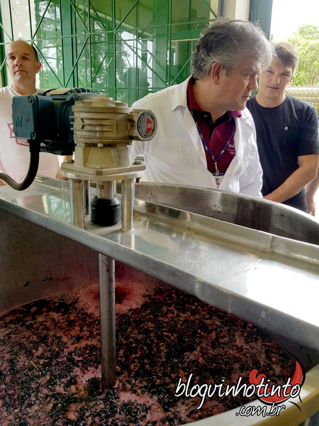 Cantina da Embrapa Colombo - muito bem equipada para a aula