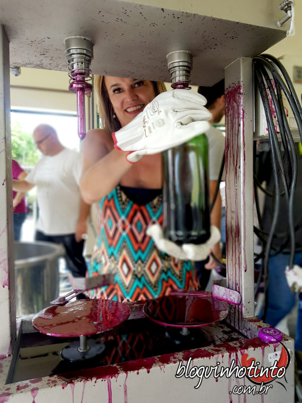 Do desengace ao engarrafamento