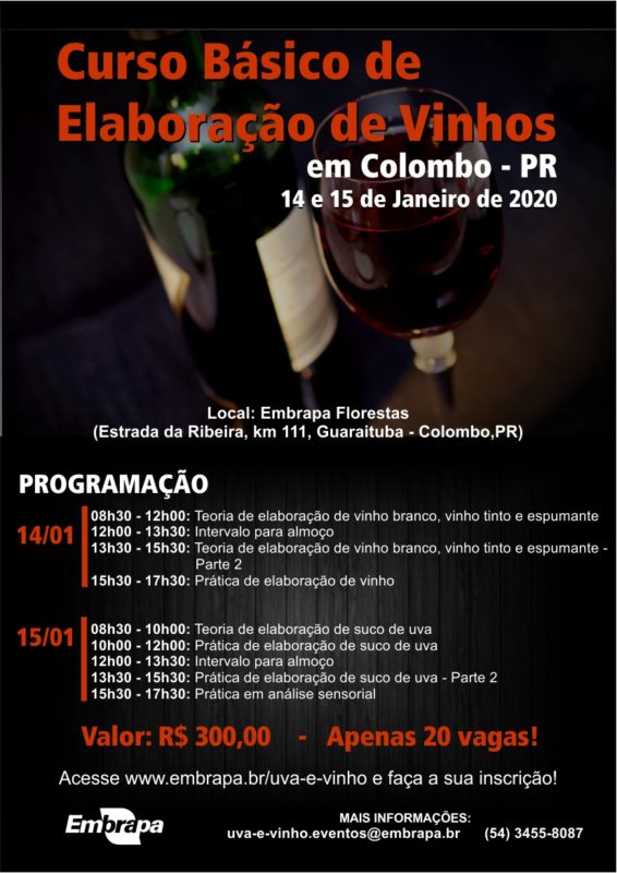 Programação do Curso