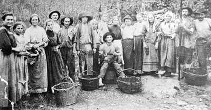 Colonização Italiana