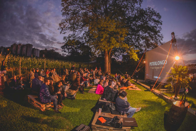 Projeto Wine Movie Peterlongo