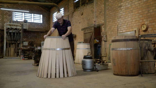 Tanoaria - Eugênio Mesacaza - Monte Belo do Sul