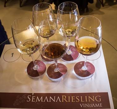 Degustação dos vinhos de Uva Riesling