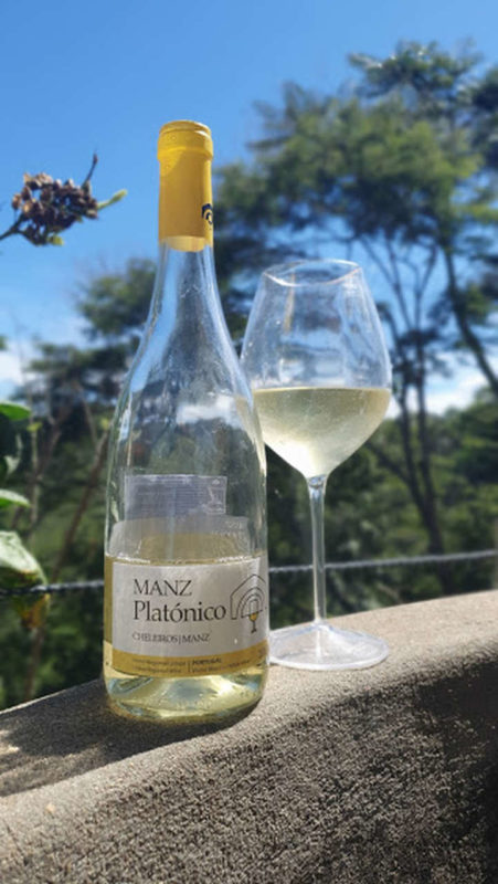 Manz Platónico Branco 2018