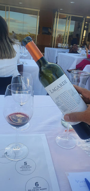Lagarde Malbec 2017 - Vinhos Argentinos 
