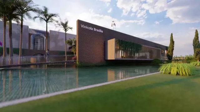 Vinícola Brasília (Divulgação)