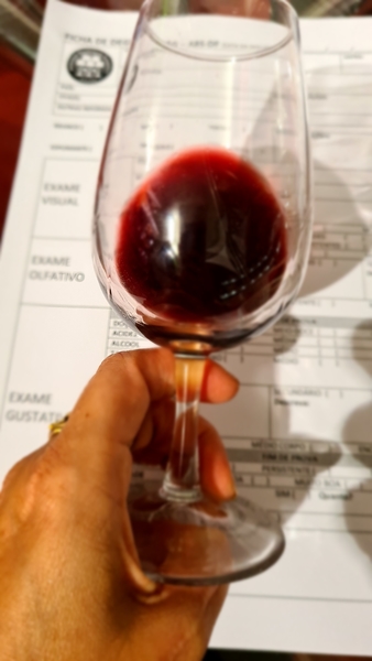 Degustação técnica com utilização da Ficha da ABS-DF