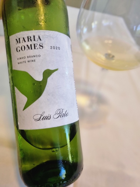 Maria Gomes Luis Pato