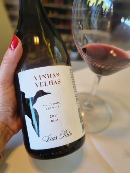 Vinhas Velhas Luis Pato