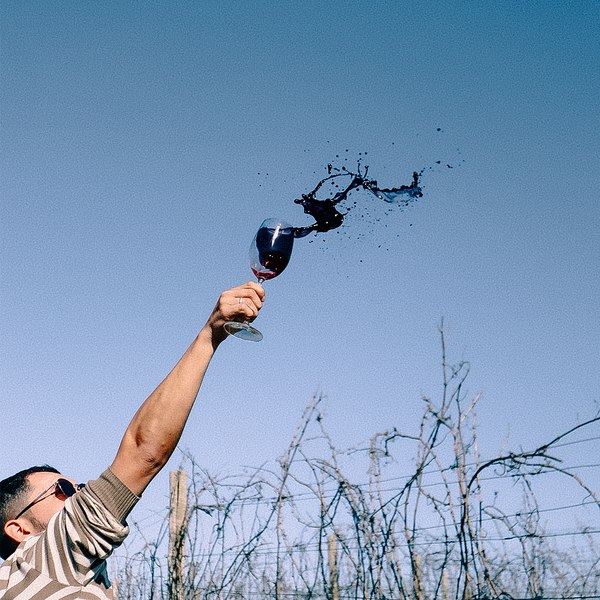 Miolo Single Vineyard - nova safra