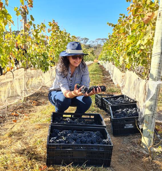 Cláudia Oliveira já visitou mais de cem vinícolas em todo o mundo, inclusive a dos principais produtores 